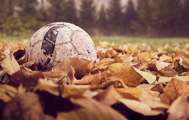 Sådan planlægger du din fodboldsæson som fan
